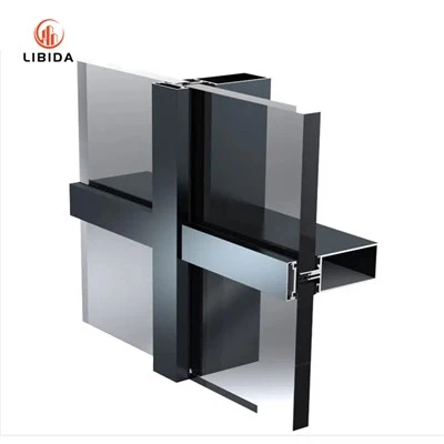 Sistema de pared de cortina de doble vidrio con marco de aluminio